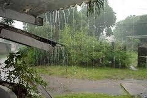 Tiền Giang: Cơn mưa 'vàng' giải hạn cho hàng chục nghìn ha sầu riêng xuất khẩu