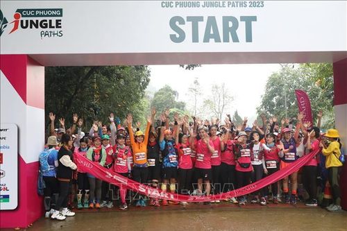 Giải chạy Cúc Phương Jungle Paths 2023 thu hút 2.500 vận động viên tham gia