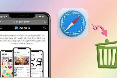 Hướng dẫn xóa lịch sử tìm kiếm trên iPhone chỉ với vài thao tác