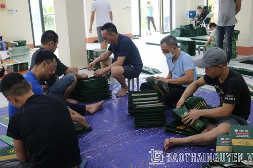 Cai nghiện ma túy cho 271 người