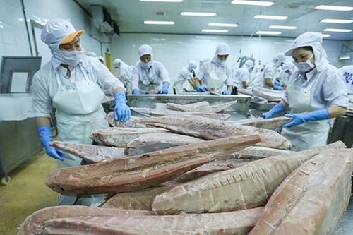 Chuyển hướng xuất khẩu cá ngừ sang thị trường ngách