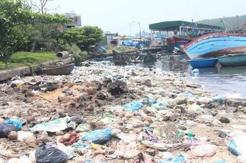 Rác thải, xác tàu cá gây ô nhiễm nặng ở cảng cá Sa Huỳnh
