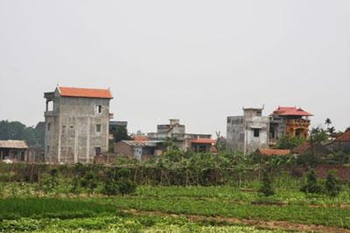 Chấm dứt tình trạng cho thuê đất nông nghiệp, đất công trái quy định