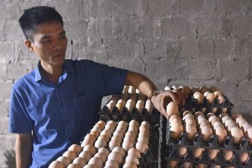 'Cỗ máy nhả vàng' mang về gần nửa tỷ đồng mỗi năm cho 8X