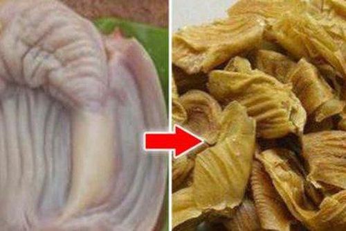 Bài thuốc chữa viêm loét miệng
