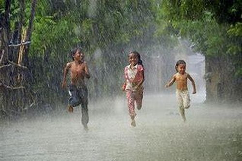 Mưa rào đầu hạ