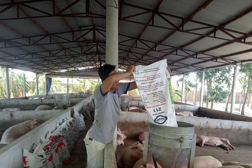 'Thủ phủ' chăn nuôi trước nguy cơ… treo chuồng