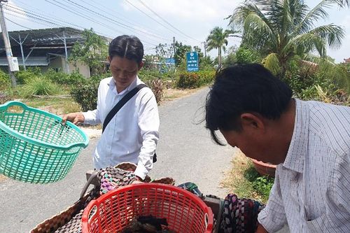 Kiên Giang: Giá cua nghịch mùa cao kỷ lục