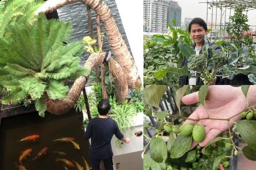 Không gian sống bao người mơ ước của 'Vua nhạc đỏ' Trọng Tấn