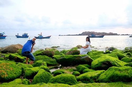 Check-in bãi đá rêu biển ở Nhơn Hải (Quy Nhơn, Bình Định)