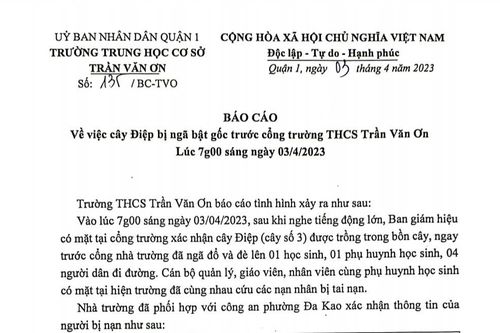 Trường Trần Văn Ơn chi hơn 15 triệu đồng hỗ trợ các nạn nhân vụ bật gốc cây