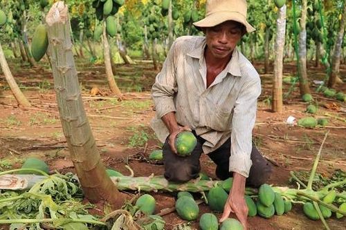 Rớt nước mắt chuyện đòn thù hiểm ác nhắm vào kinh tế của đối phương