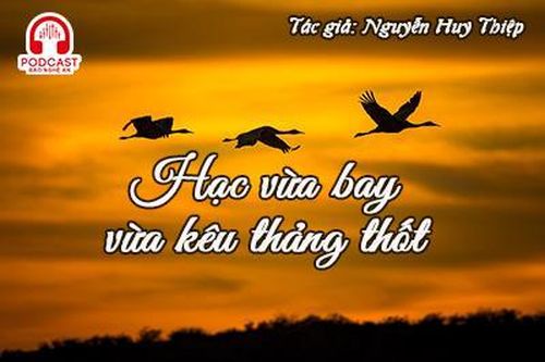 Đọc truyện đêm khuya: Hạc vừa bay vừa kêu thảng thốt