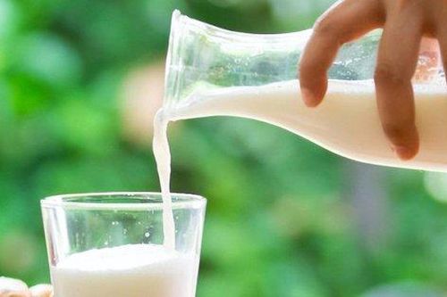 Uống 2-3 cốc sữa con vẫn không cao, có thể mẹ đã bỏ lỡ thời điểm 'vàng' cơ thể hấp thu canxi tốt nhất