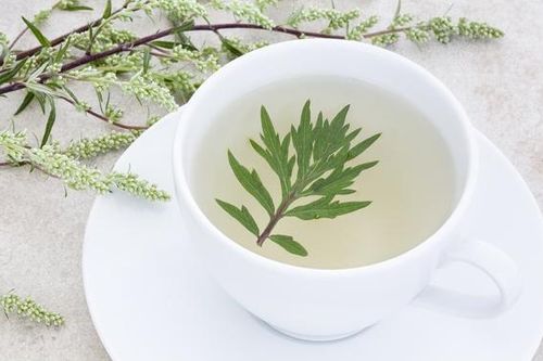 3 loại cây 'thảo dược', hiệu quả điều trị đau đầu do thay đổi thời tiết