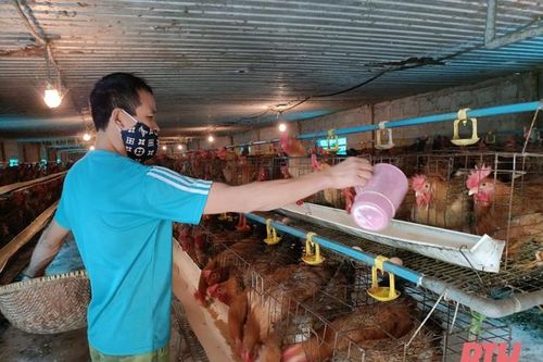 Dận vận khéo trong xây dựng NTM nâng cao, NTM kiểu mẫu ở Yên Định