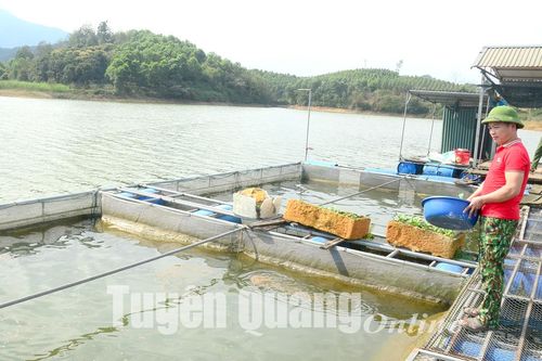 548 ao hồ không được san lấp