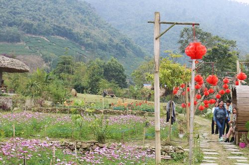 Quý I, doanh thu từ du lịch đạt trên 279 tỷ đồng