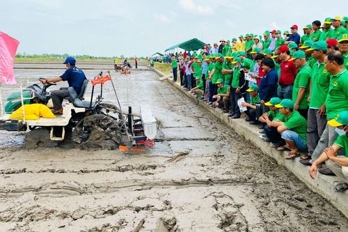Cơ giới hóa gieo sạ chính xác, hỗ trợ sản xuất lúa chất lượng cao