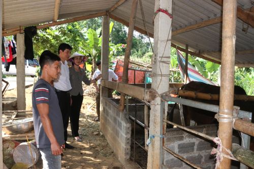 Bài 1: Minh chứng sinh động cho nội dung chất vấn, giải trình