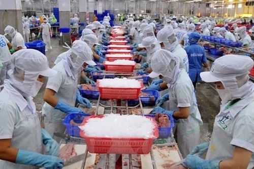 Navico giải thể công ty con chuyên về bất động sản