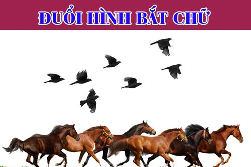 Câu đố hại não: Câu tục ngữ này là gì?