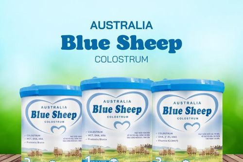 Blue Sheep Colostrum – Bổ sung MCT giúp bé tăng cân hiệu quả