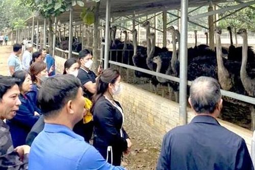 Bẫy lừa từ những 'tour du lịch 0 đồng'