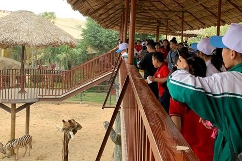 Hoạt động ngoại khóa: An toàn phải được đặt lên hàng đầu