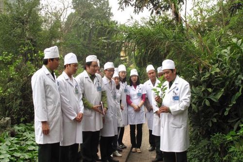 Chặng đường 15 năm phát triển Đông y tại quận Hoàng Mai