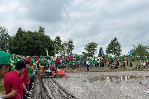 Hơn 300 nông dân tham gia trình diễn đồng ruộng: Cơ giới hóa gieo sạ chính xác