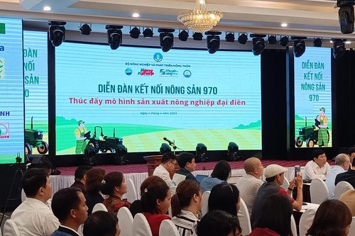 Thúc đẩy mô hình sản xuất nông nghiệp đại điền