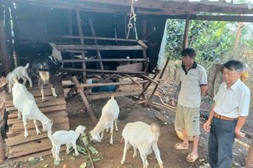 Cựu chiến binh có tấm lòng thiện nguyện