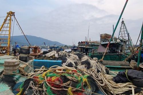 Toàn cảnh hoạt động của cảng cá lớn nhất miền Trung