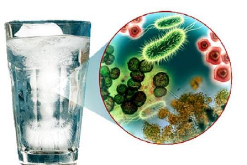 Vi khuẩn Coliform nguy hiểm sao?