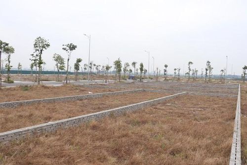 Hà Nội 'mạnh tay' ngăn chặn phân lô, bán nền đất nông nghiệp