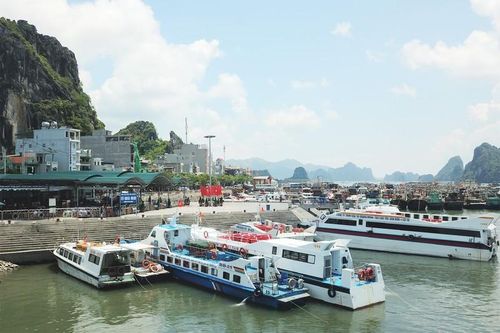 Nhiều chủ tàu 'đình công', cảng Cái Rồng được tiếp tục hoạt động