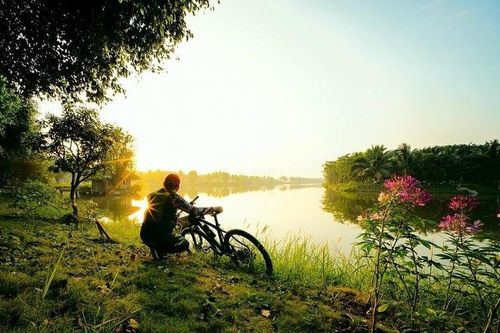 Đánh thức bình minh
