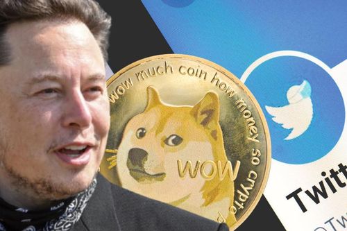 Dogecoin tăng sốc khi Elon Musk đổi logo Twitter thành chó Shiba