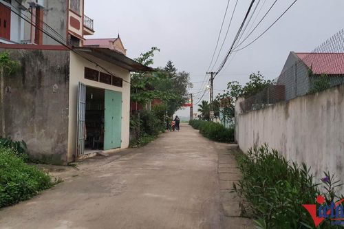 Vụ cháu ngoại đâm ông bà hơn 80 tuổi, cả 2 nạn nhân đã tử vong
