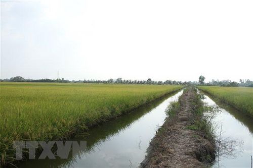 Bạc Liêu: Tăng trưởng kinh tế đứng thứ 3 vùng Đồng bằng sông Cửu Long