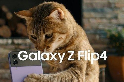 Galaxy Z Flip 5 lần đầu lộ bản thiết kế, ghi nhận có màn hình lớn hơn