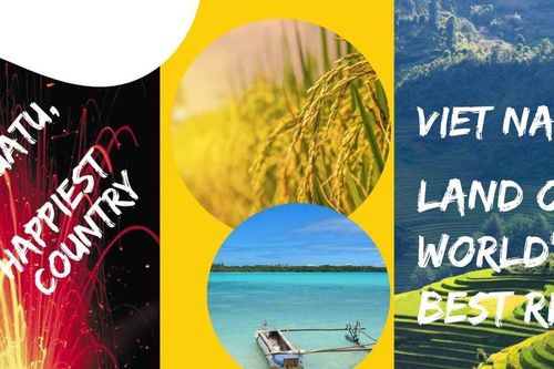 Việt Nam xuất khẩu hàng nghìn tấn gạo ST25 sang Vanuatu