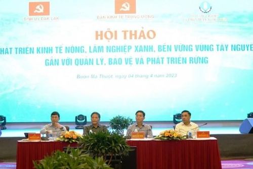 Phát triển kinh tế nông, lâm nghiệp xanh, bền vững vùng Tây Nguyên gắn với bảo vệ rừng