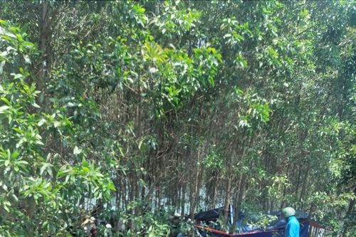 Phát hiện thi thể nữ sinh lớp 6 dưới lòng sông Rào Trổ