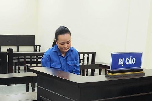 Lừa đảo đi du học nước ngoài, nữ giám đốc lĩnh án 10 năm tù