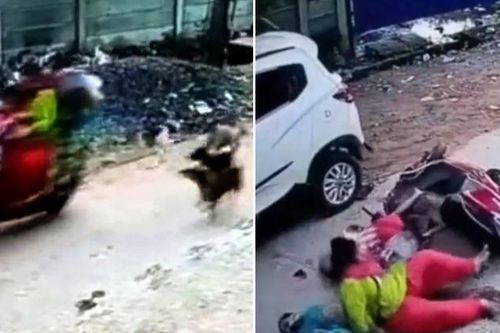 Bị đàn chó rượt đuổi, người phụ nữ Ấn Độ lái xe máy 'cắm đầu' vào ô tô