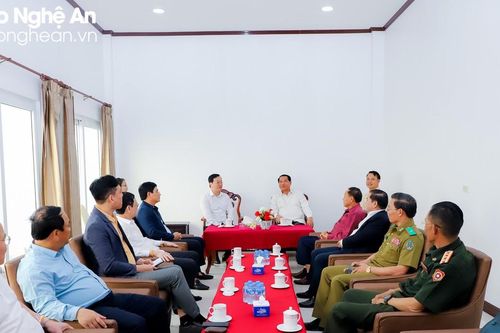 Lãnh đạo tỉnh Nghệ An chào xã giao lãnh đạo tỉnh Xiêng Khoảng và tham quan di tích Cánh đồng Chum