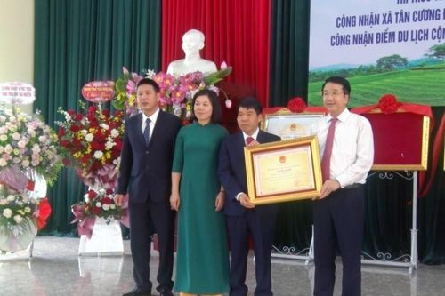 Tri thức trồng, chế biến chè Tân Cương - Di sản văn hóa phi vật thể QG