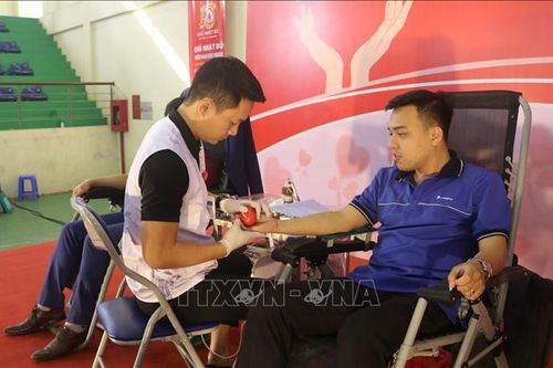 Sức sống bền bỉ của phong trào hiến máu nhân đạo